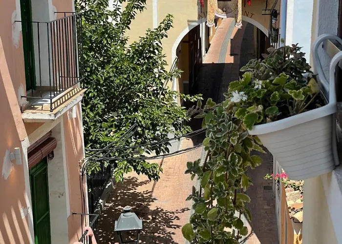 Casa Nido