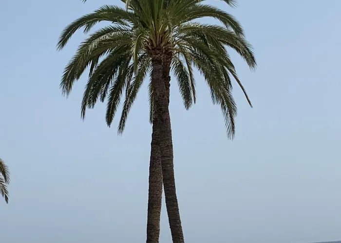 Casa Nido Villajoyosa